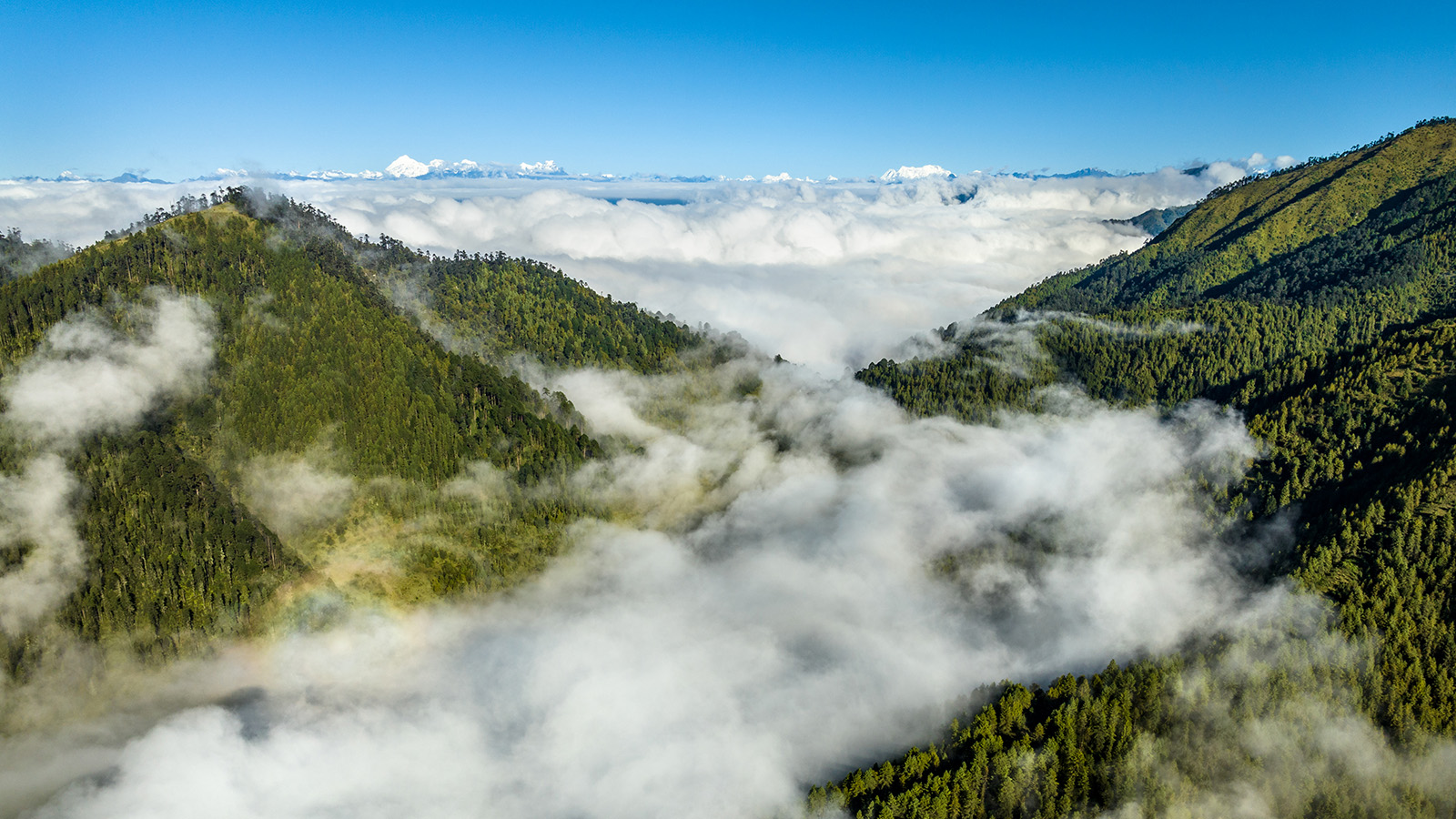 Wangdue Phodrang